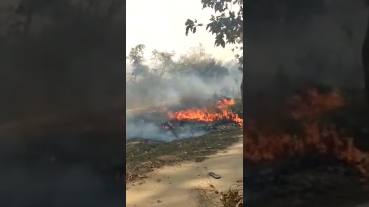 harm khatar jula jal  jaljata