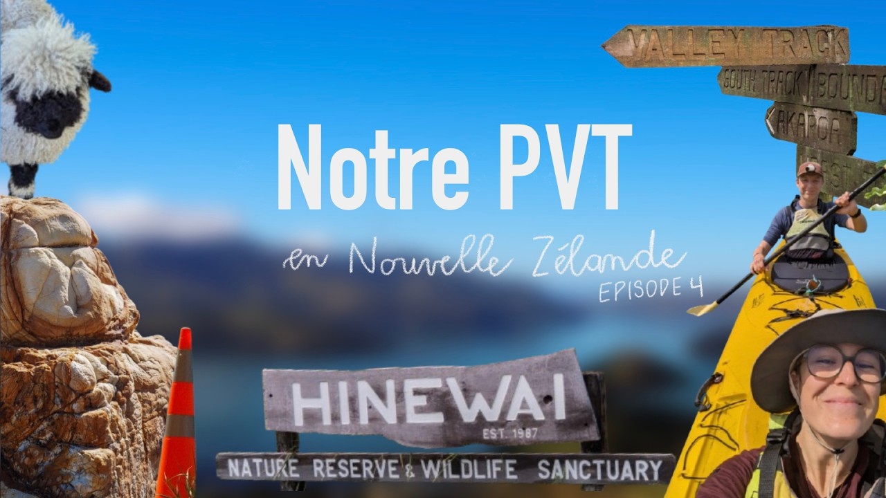 Notre PVT en Nouvelle Zélande - Épisode 4