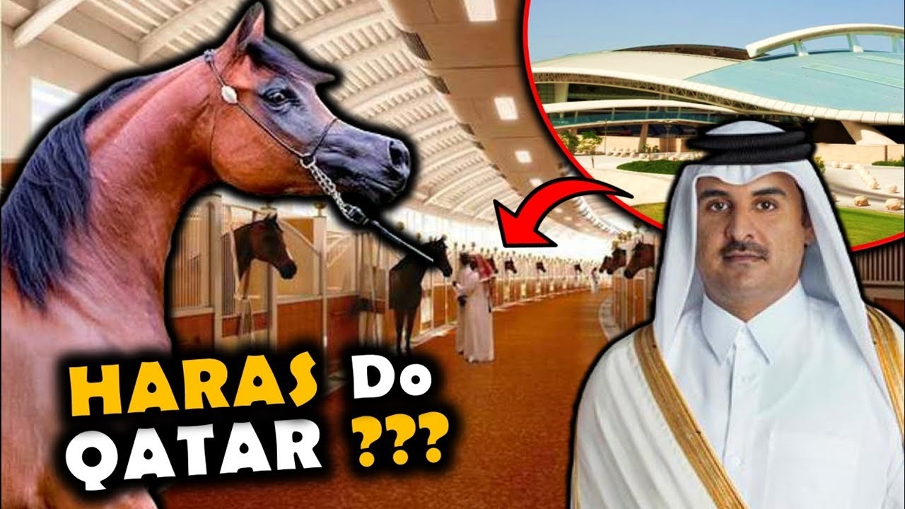 INCRÍVEL! Conheça o HARAS do QATAR - MAIOR Centro de CAVALOS do Mundo? O País da Copa do Mundo 2022
