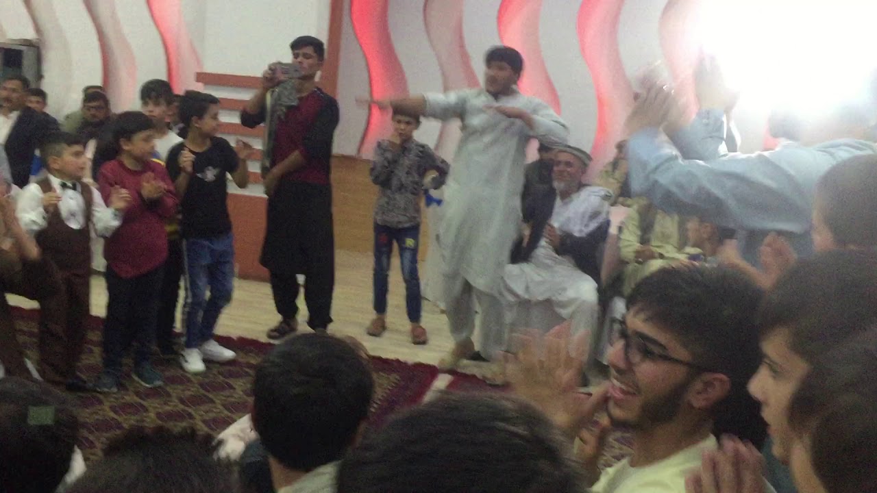توله قرصک محفل فواد جان