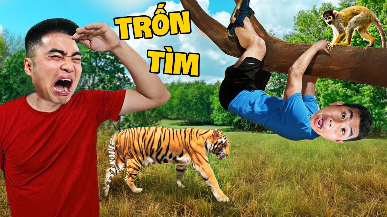 Gấu Đỏ TV - Thử Thách Trốn Tìm Vườn Bách Thú - AI Trốn Giỏi Nhất Nhận Phần Thưởng 10 Triệu