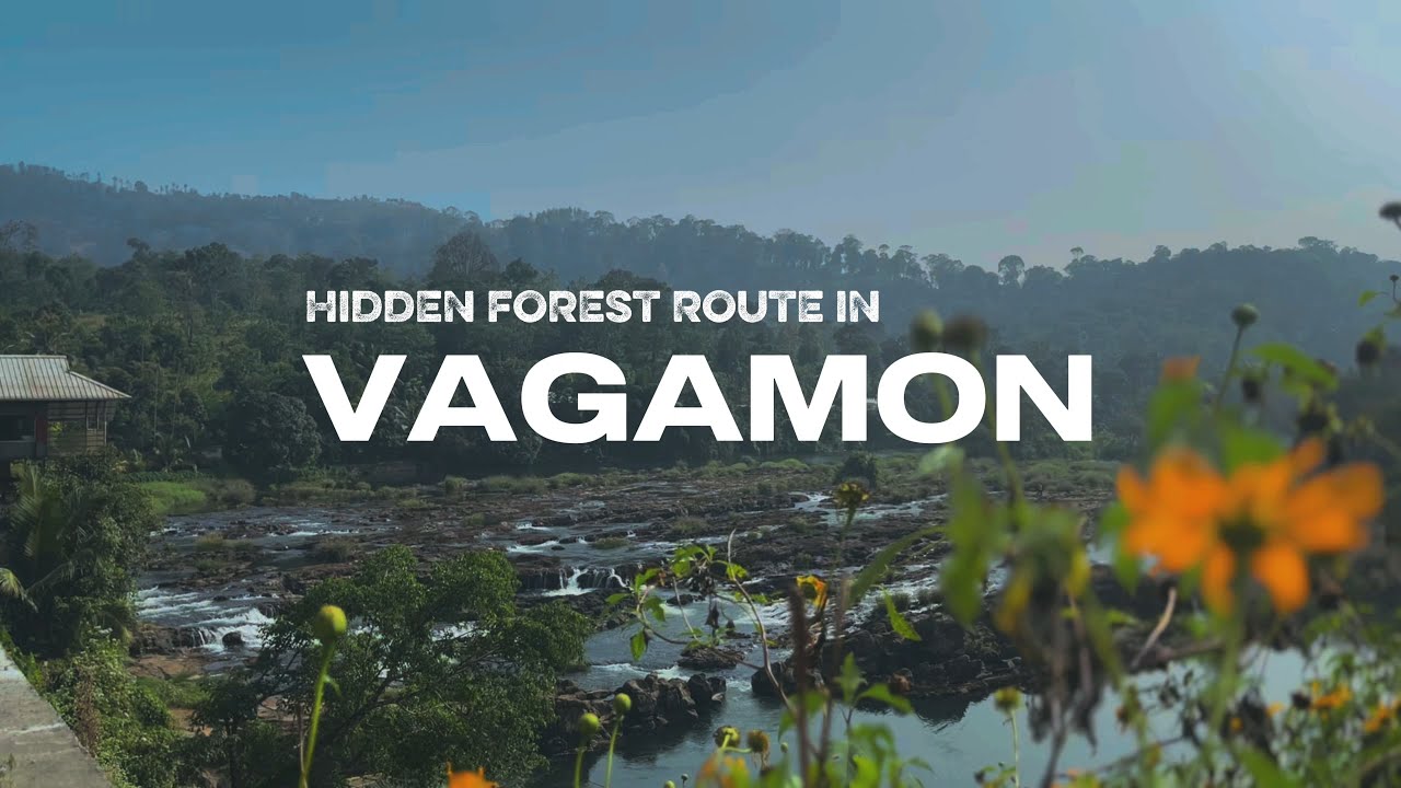 Vagamon 4 Days Trip | Forest Ride | Kallattupara Waterfalls | Ayyapancovil Hanging Bridge #vagamon 