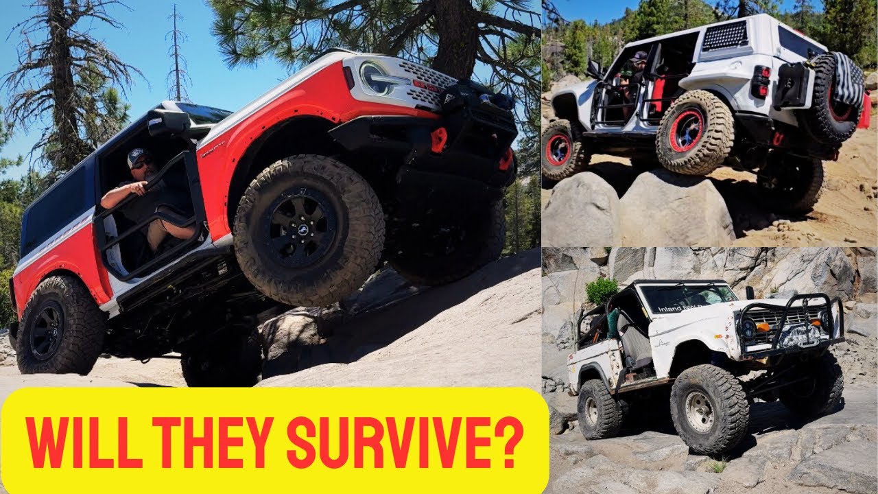 BRAND NEW STROPPE BRONCO vs RUBICON-Will it SURVIVE?