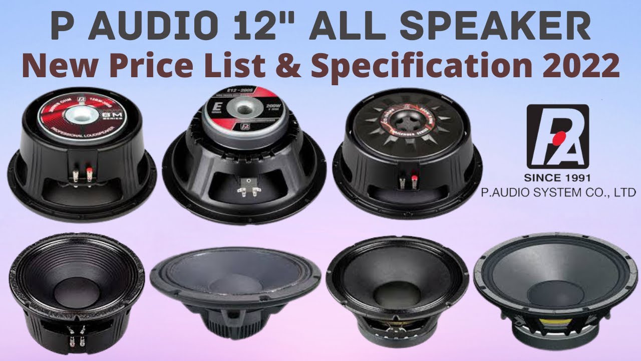 P Audio 12