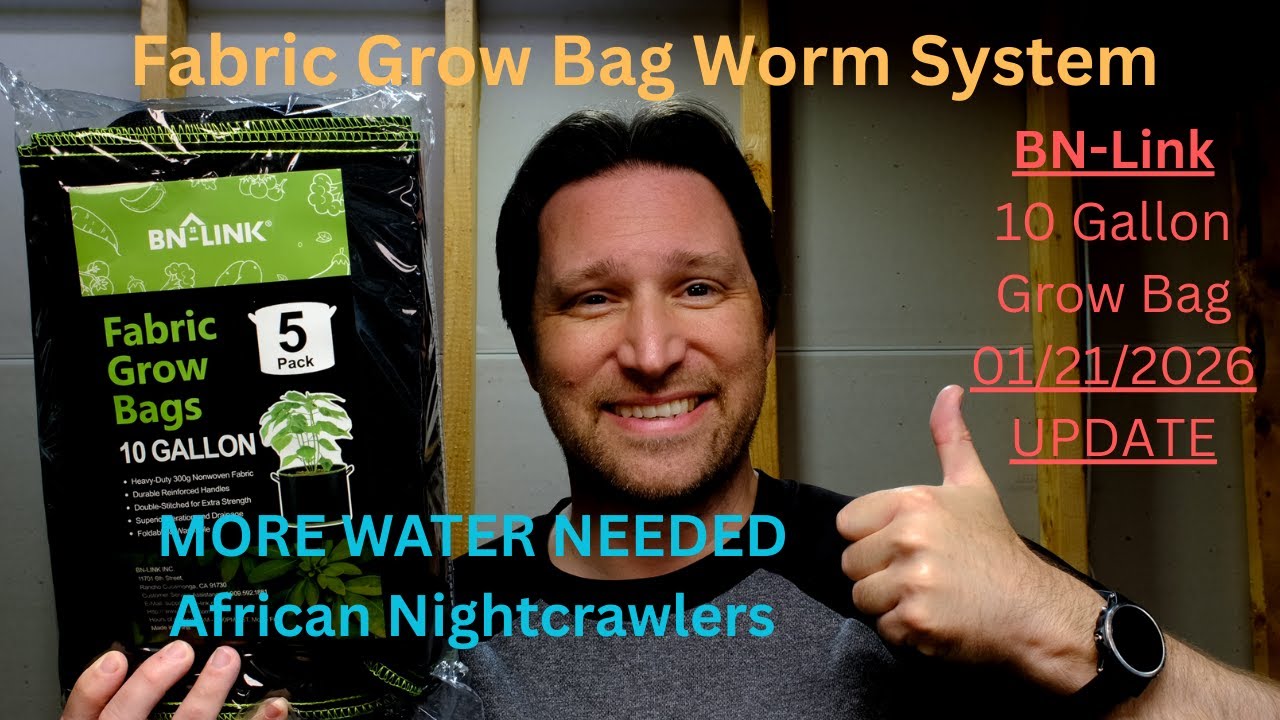 10 Gallon Grow Bag Worm Compost – January 21, 2026 Vermicompost Update