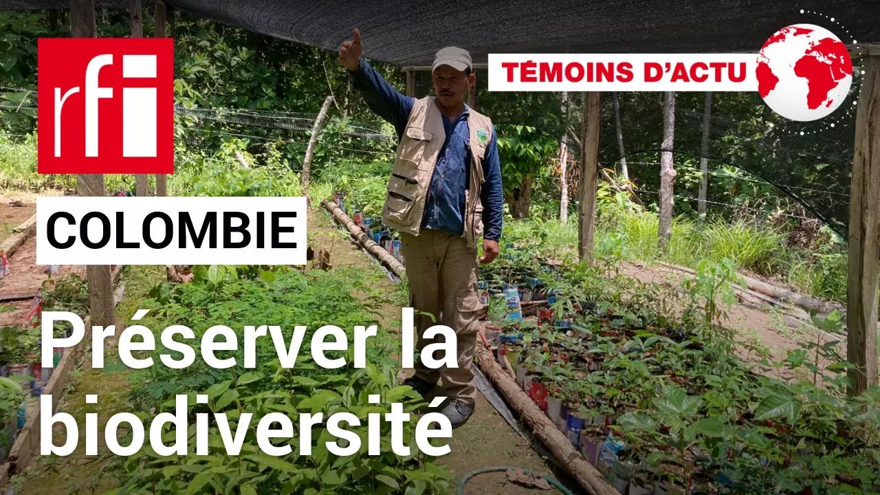 Colombie : quels combats pour préserver la biodiversité ? • RFI