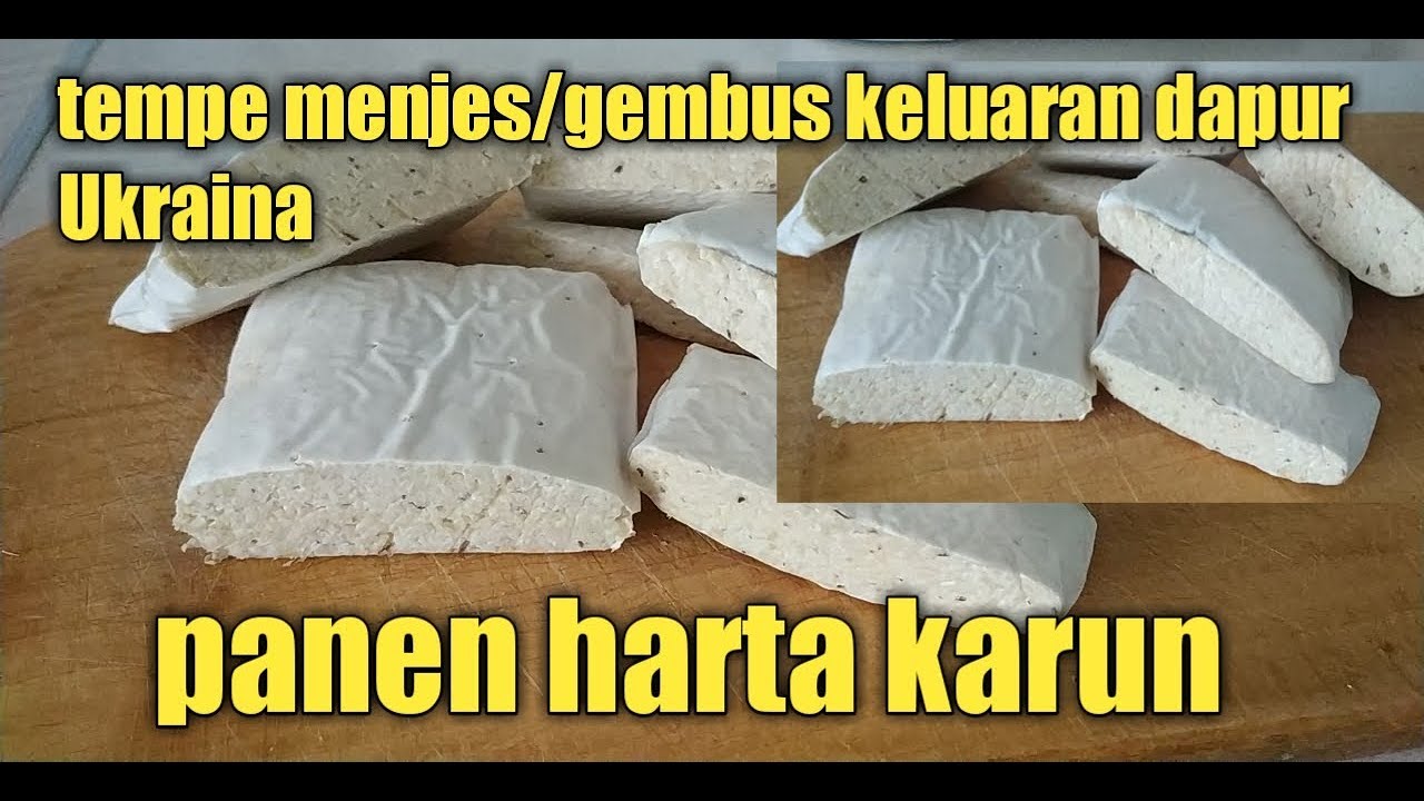 Cara bikin tempe gembus/menjes/oncom anti gagal