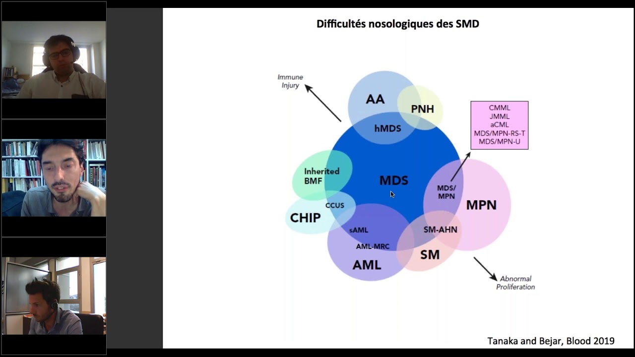 Webinaire AIH : Les syndromes myelodysplasiques