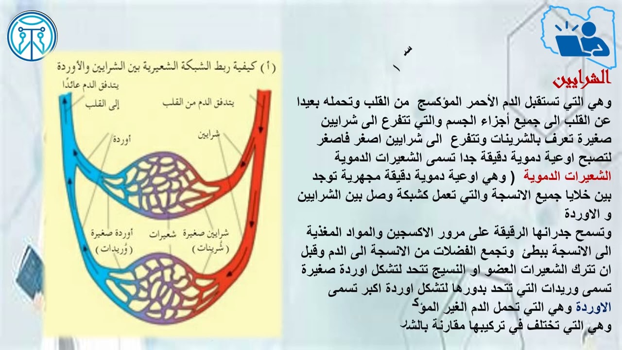 الجهاز الدوري