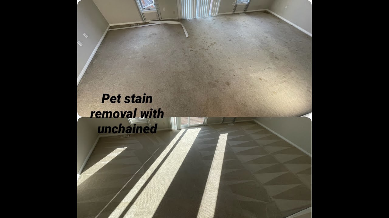 How to Remove Pet Stains with Unchained from TMF