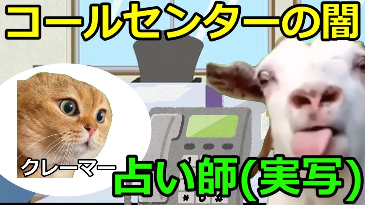 【猫ミーム】占い師実写コールセンターの闇！