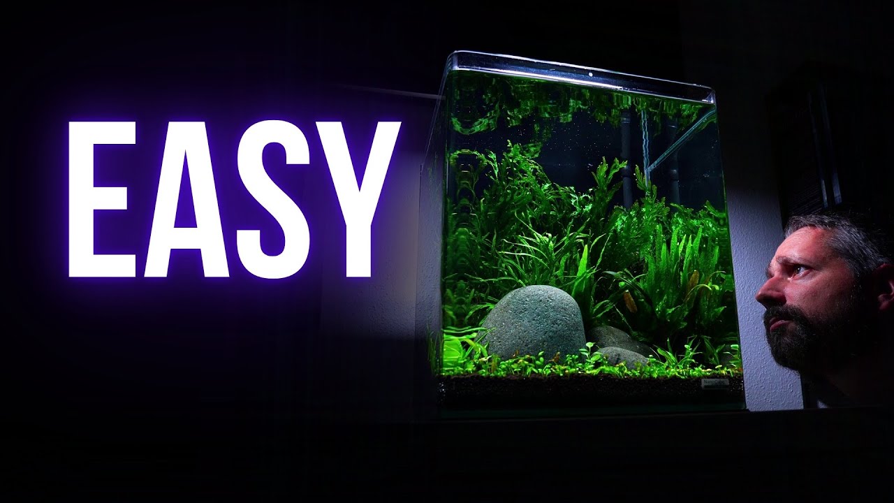 I made SIMPLE NANO CUBE AQUARIUM | Step by step AQUASCAPING TUTORIAL | EP1