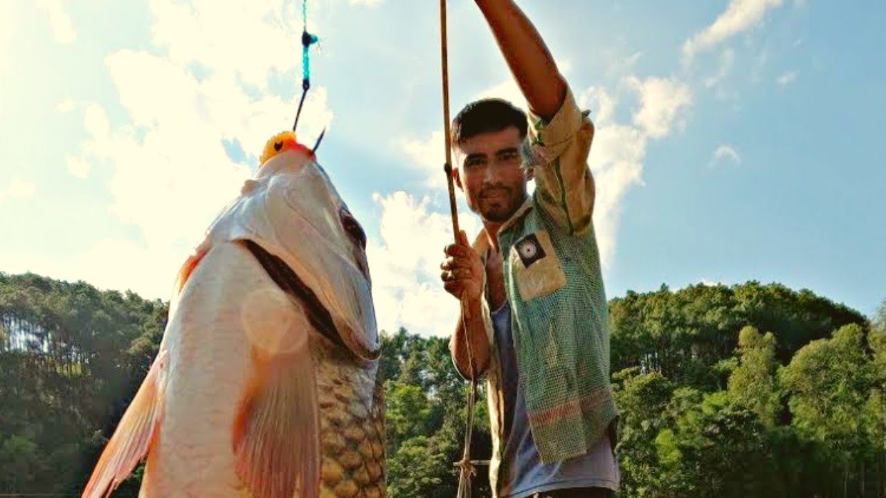 Catching fish with Hook 🎣🎣