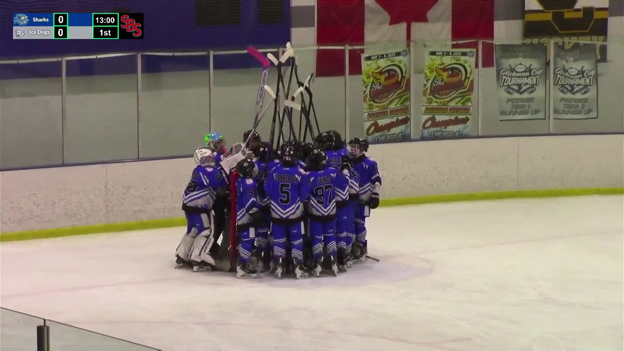 Meramec Sharks vs. Vernon Hills IceDogs: CSDHL Playoffs (PeeWee Prospects)