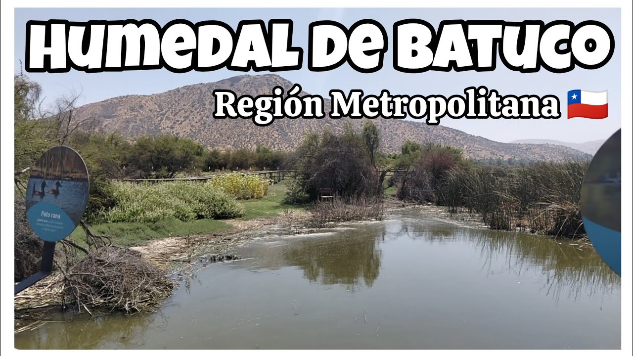 MOTORHOME por Chile 🇨🇱 Lugares que nos sorprenden | Naturaleza y Mar 