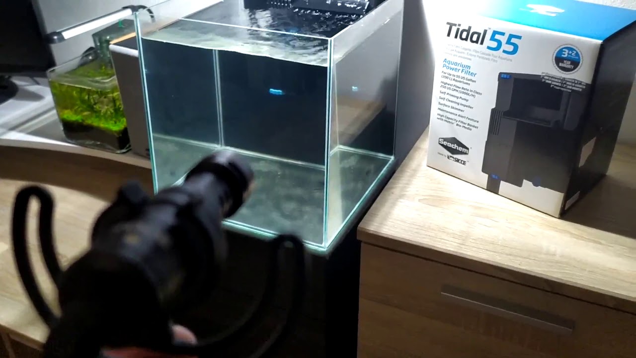 Seachem tidal 55 - sound test