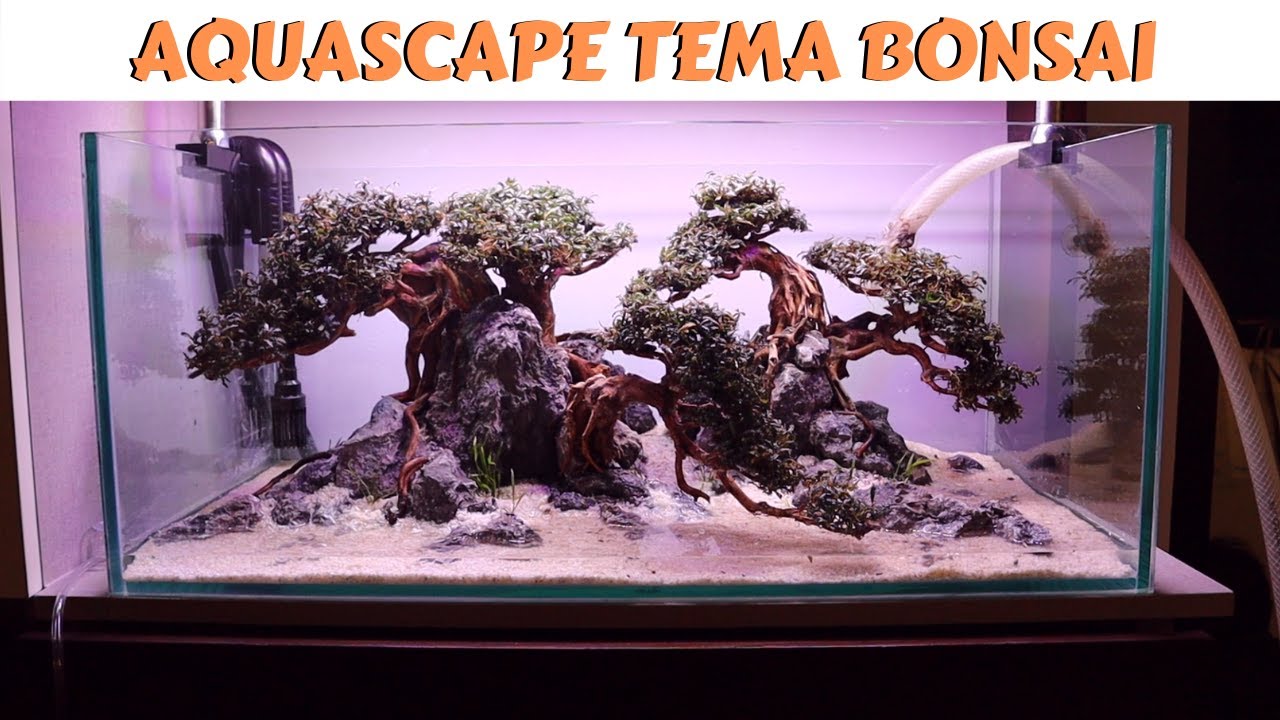 10 MENIT CARA MEMBUAT AQUASCAPE TEMA BONSAI BRO.