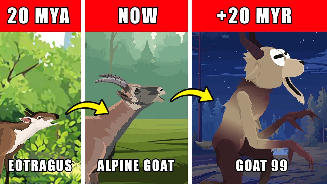 Goat 99 Origin Evolution: How Goat 99 Could Have Evolved
