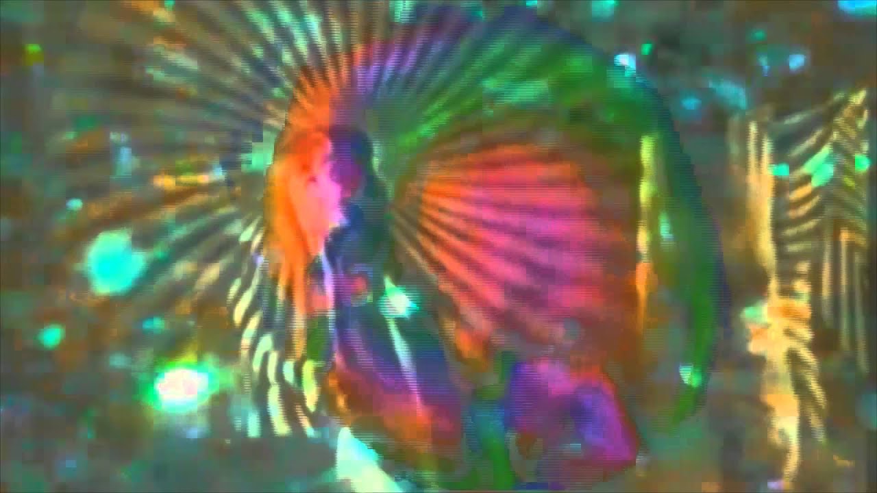 Lazyeyes - Darling Dear