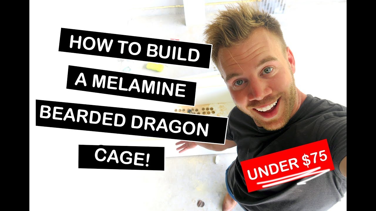 How To Build a Melamine Bearded Dragon Cage For Reptiles 2018