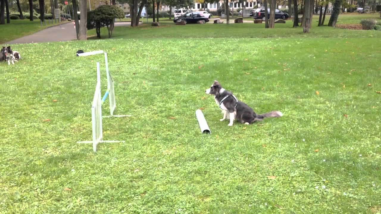 Anf&auml;nge Sprungtraining