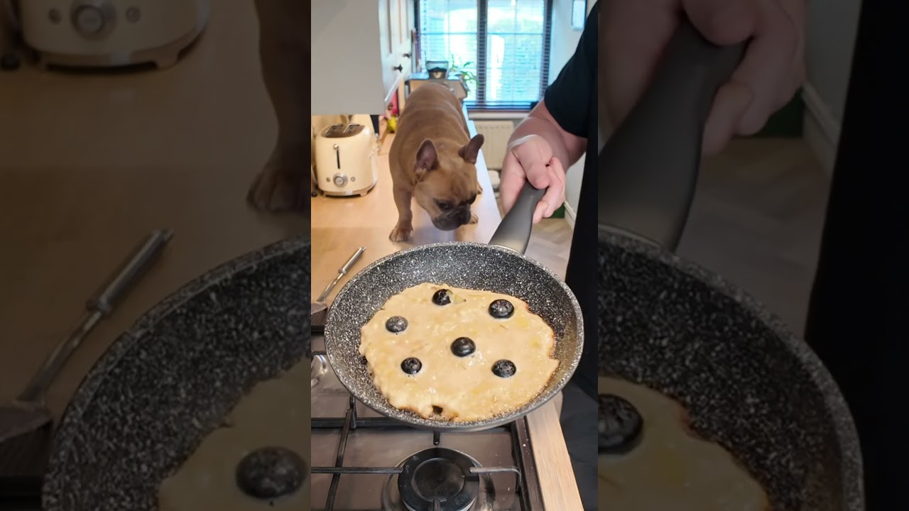 🐾🥞 Dog friendly pancake recipe 🥞🐾 Tuesdays with Chef TJ #pancake #dogrecipes #pancakeday