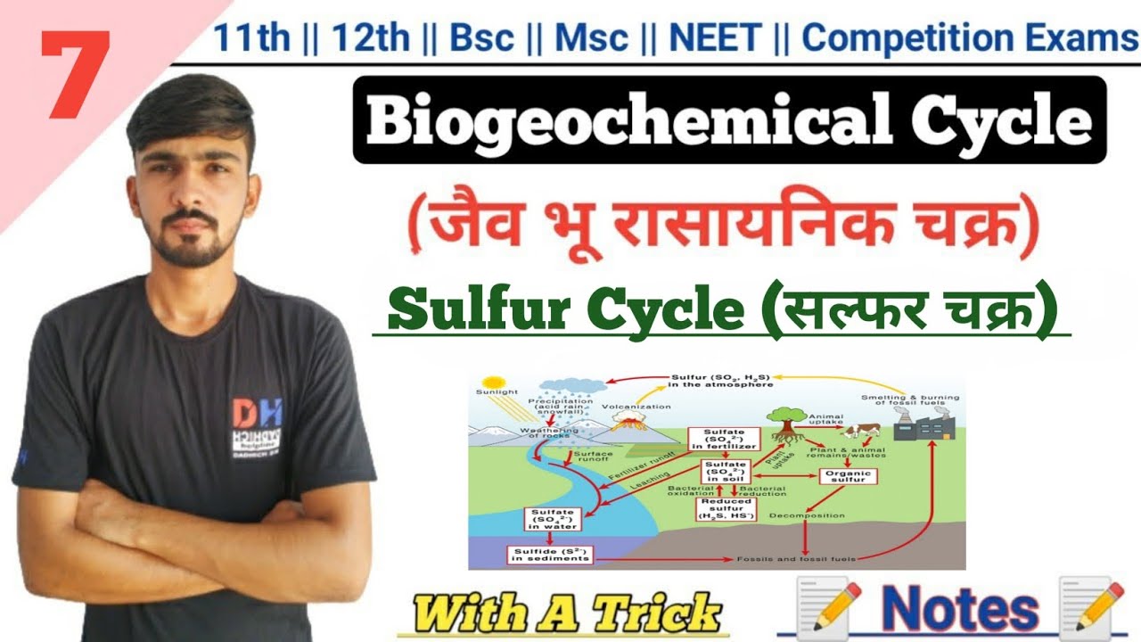 Sulphur Cycle In Hindi || Biogeochemical Cycle || By Dadhich Sir