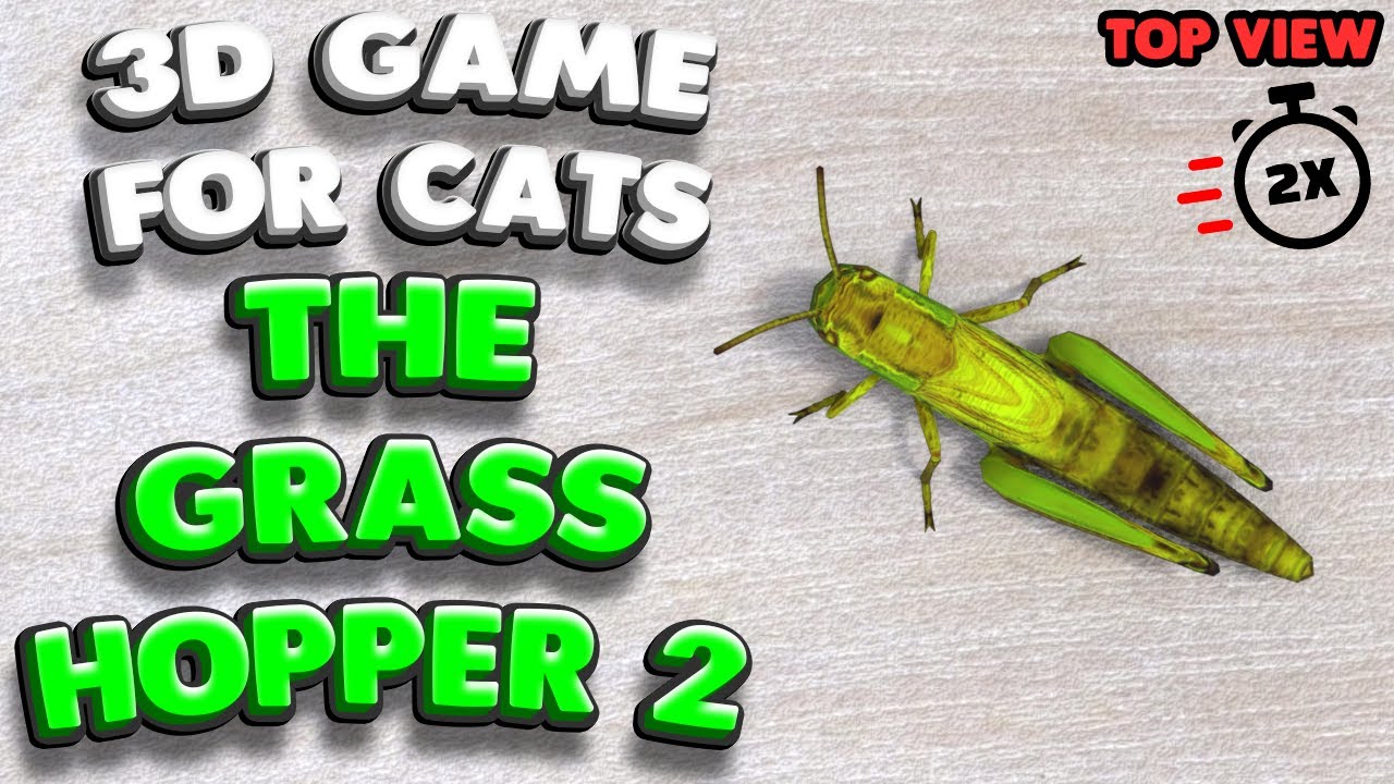 3D game for cats | CATCH THE GRASSHOPPER 2 (top view) | 4K, 60 fps, stereo sound
