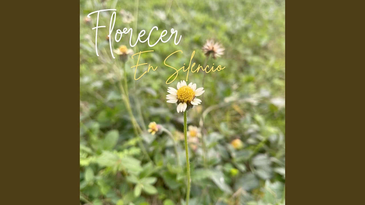 Flor Blanca