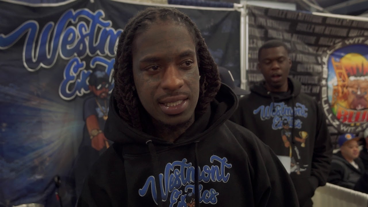 WESTMONT Exotics invade the bay 4 Footage