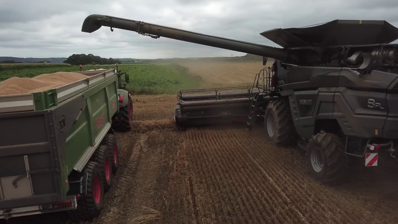 SERVIPRO |  IDEAL DAYS | FENDT | MAUPU
