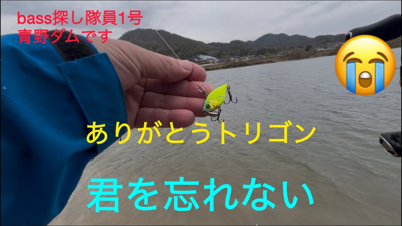 青野ダムです4月4日
