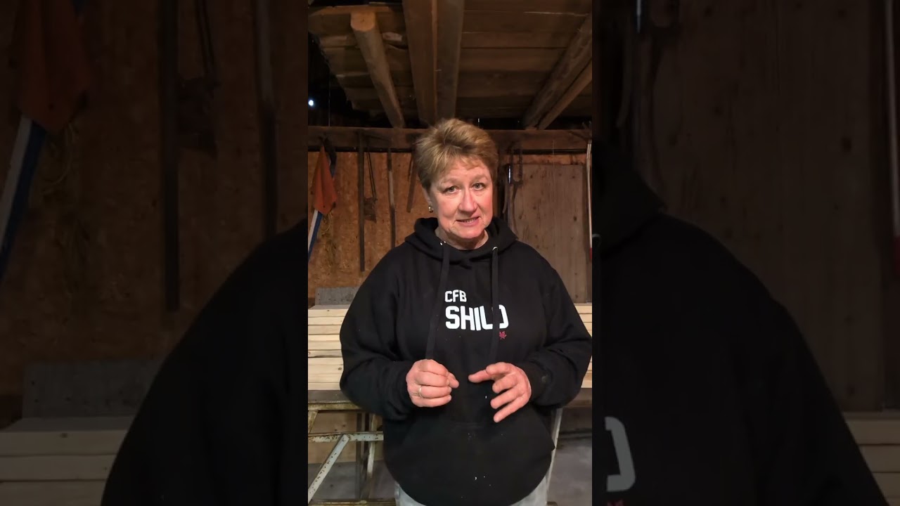 Daisy-Mae Gardens Preparation Project #1 - Picnic Table Rebuild