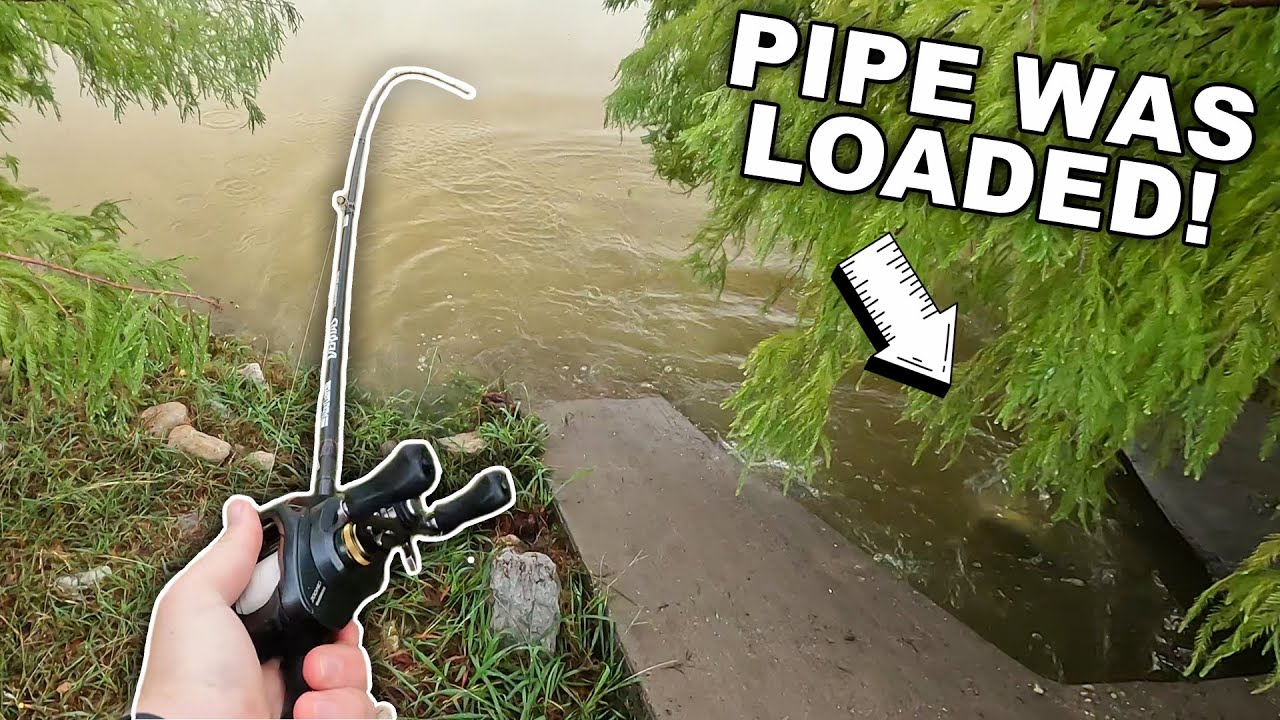 Catching Giant Bass in a Tiny Pipe! (Fall Bass Fishing Fort Worth, Texas)