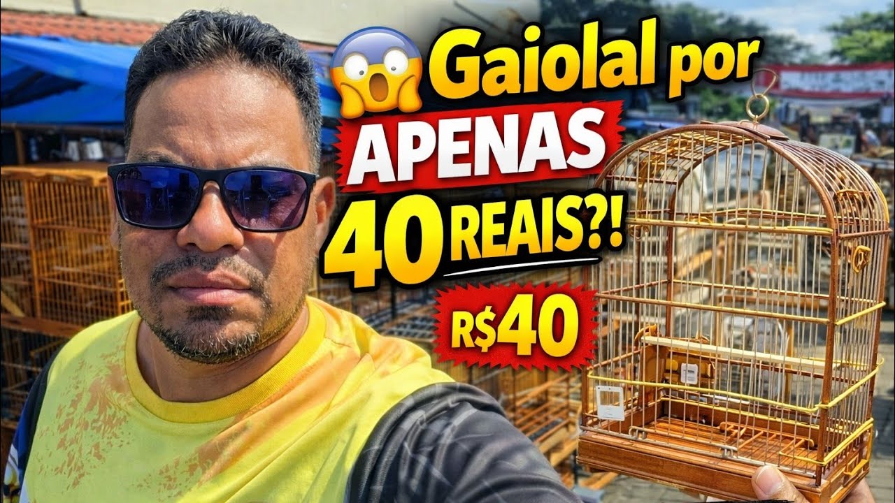 😱 Gaiola por APENAS 40 REAIS?! Olha Isso na Feira do Cordeiro