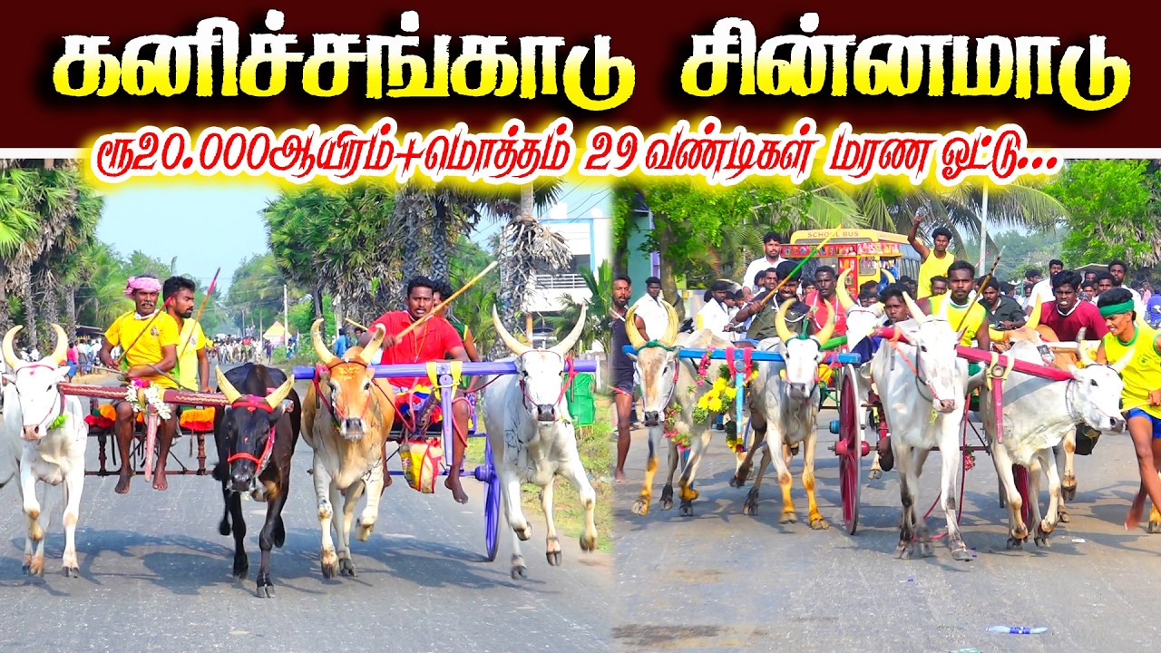 கண்டிச்சங்காடு சின்னமாடு 2 பந்தயம் 09.03.2026