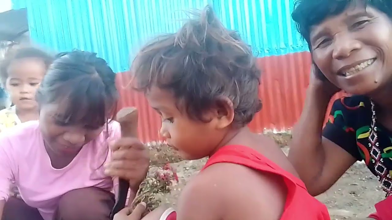 Nenita nag tanim ng bulaklak sa kanilang bakod