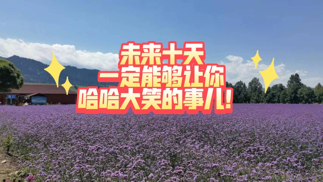 未来十天一定能够让你哈哈大笑的事儿！(不限时空)
