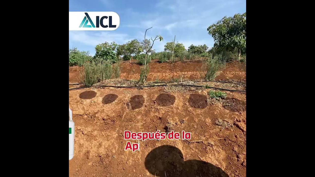 Aplicamos H2Flo&reg; en cultivo de aguacate