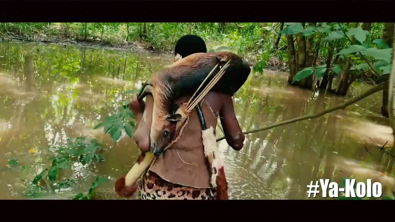 YA-KOLO