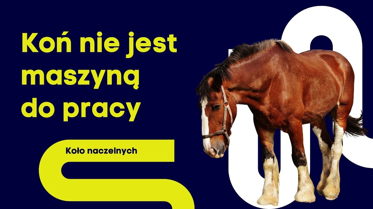 Czy konie powinny pracować dla ludzi? Etyka sportu i wykorzystywania koni