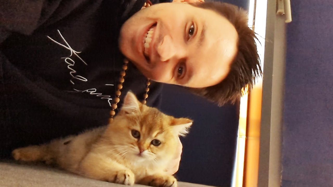 MEINE KATZE IST DA!
