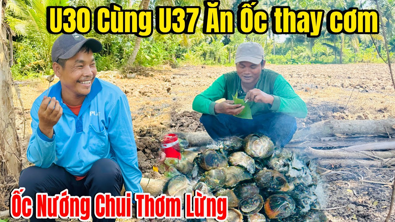 Tới Công Chuyện U30 Cùng U37 Bắt Ốc Nướng Chui Thưởng Thức Ngay Rẫy Vườn,!