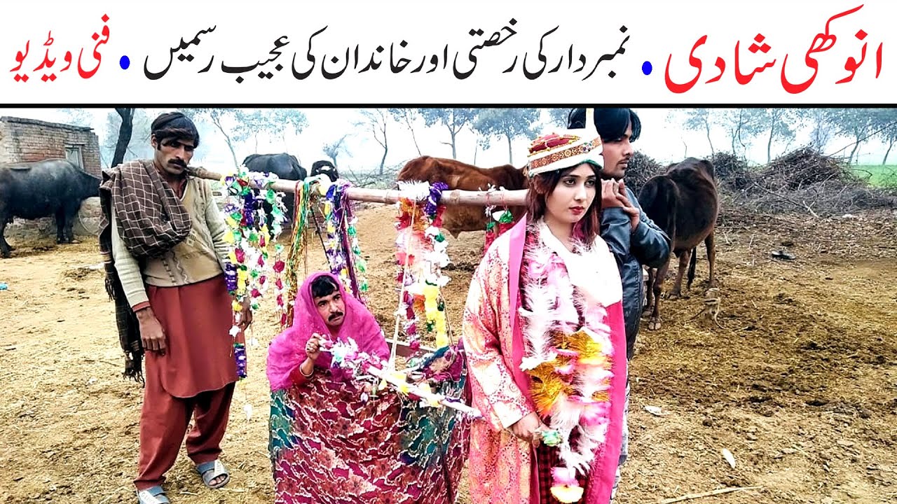 Number Daar Ki Anokhi Shadi Funny | New Top Funny |  Must Watch Top New Comedy Video 2021 | You Tv
