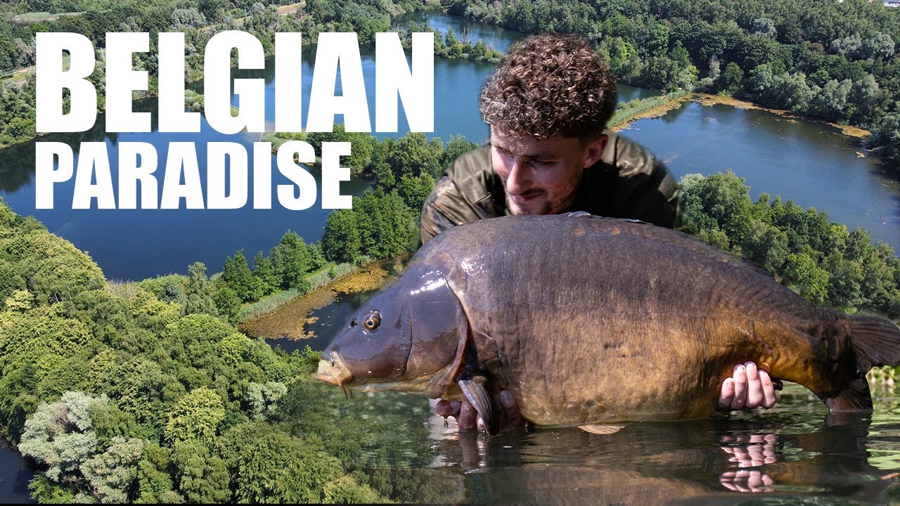 THE BEST LAKE IN BELGIUM? Escaping London 4