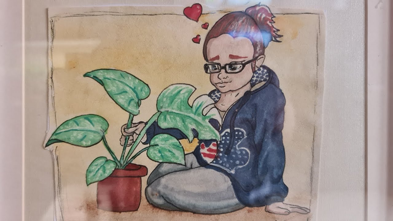 les ficus et le pon