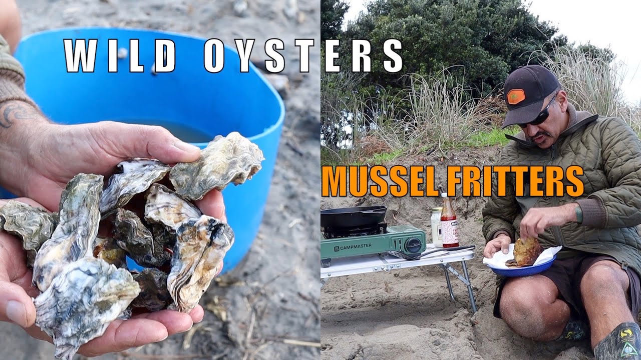 Delicious MUSSEL & KŪMARA Fritters | Mangrove Oysters