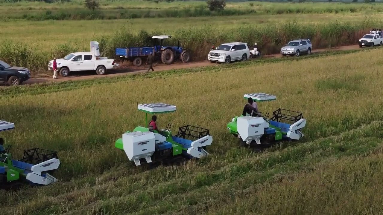 Minister Kpaka Commenced FeedSaloneRice harvesting at FSRP supported site in Magbass, Tonkolili