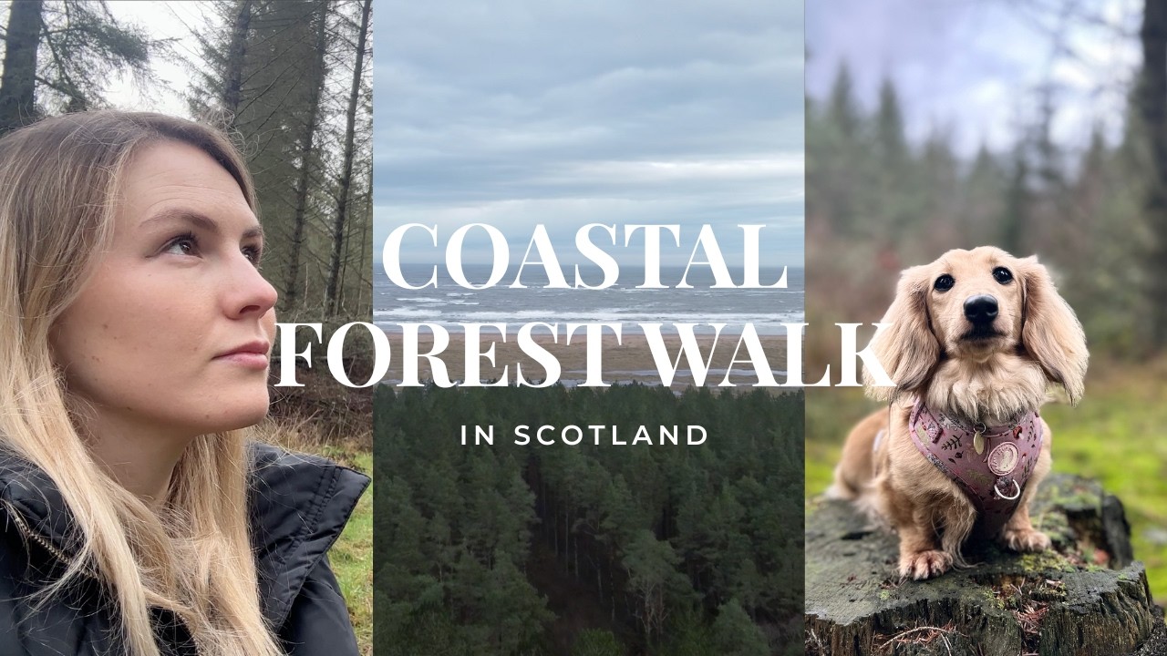 Coastal Forest Walk Near St Andrews | Scotland