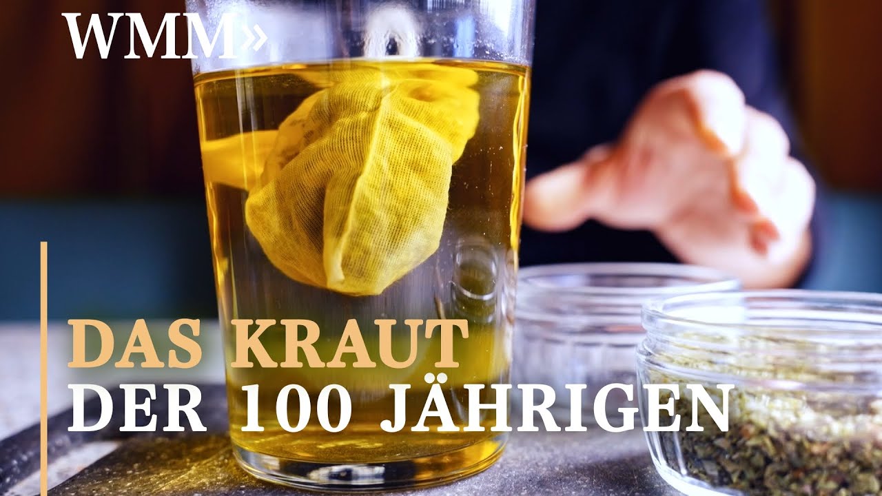 Das st&auml;rkste Getr&auml;nk f&uuml;r deine Gesundheit: Oregano und seine Wirkung!